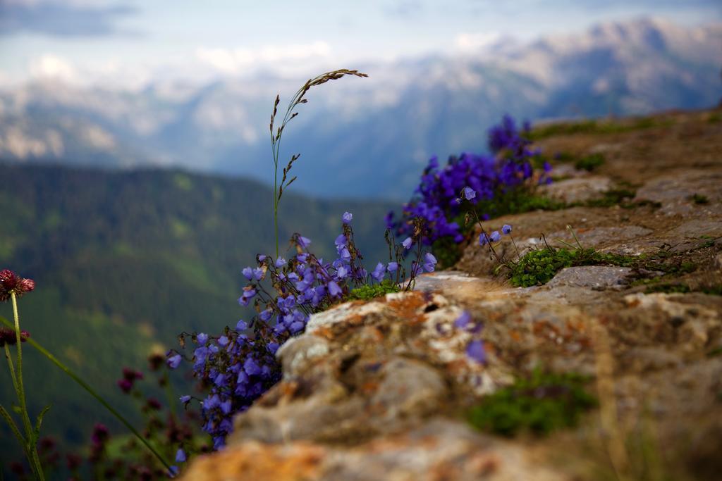Landhotel Gruben Oberstdorf Zewnętrze zdjęcie